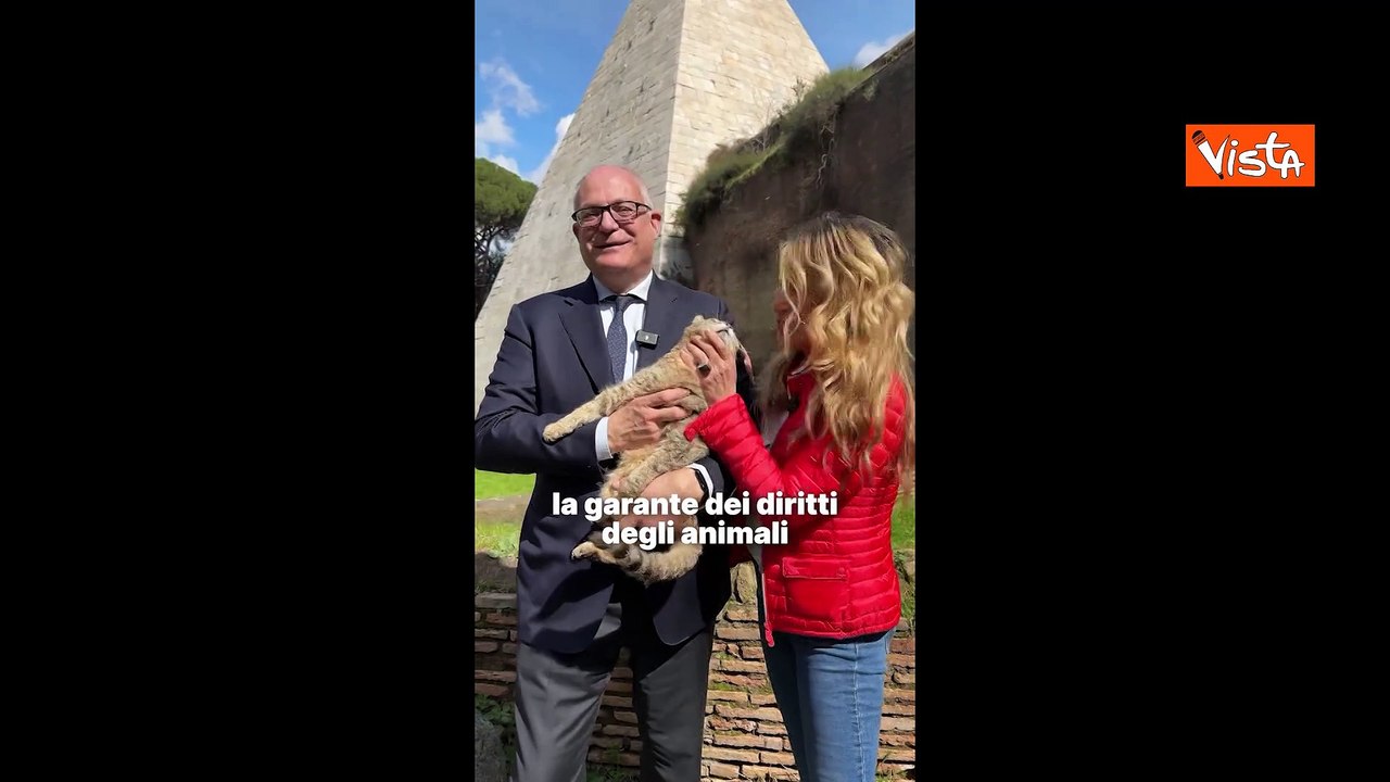 Gualtieri: A Roma nominato Garante dei diritti degli animali