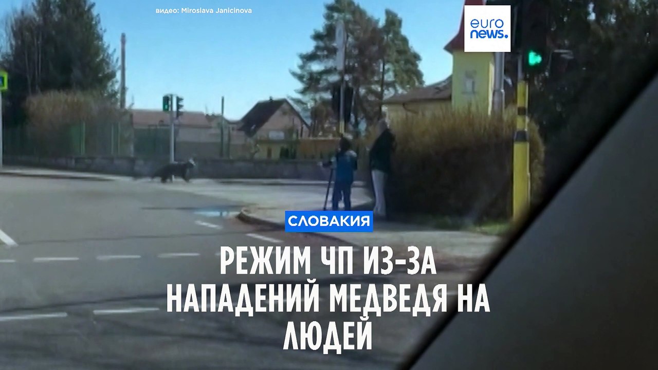 В словацком городе объявлен режим ЧП из-за напа...