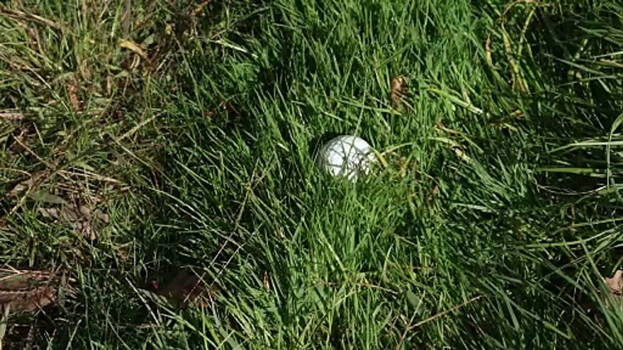 Franck Lorenzo Vera : Chip sur lie porté