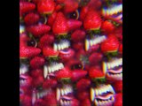 Thee Oh Sees  Toe Cutter  Thumb Buster download Floating Coffin full album leaked