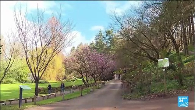 Journée mondiale du bonheur : famille, santé, argent... Ils partagent leur recette du bonheur