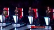 The Voice UK 2013 Liam Tamne  This Womans Work