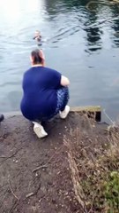 Goose rescued in Dartford