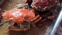 crab