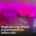 Pilyong aso, huli pero di kulong?! | GMA Integrated Newsfeed