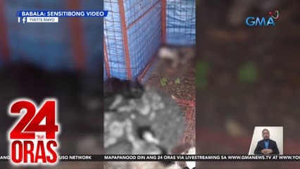 Pound kung saan may pusang kumain sa kapwa-pusa, iniimbestigahan kung nagpabaya | 24 Oras