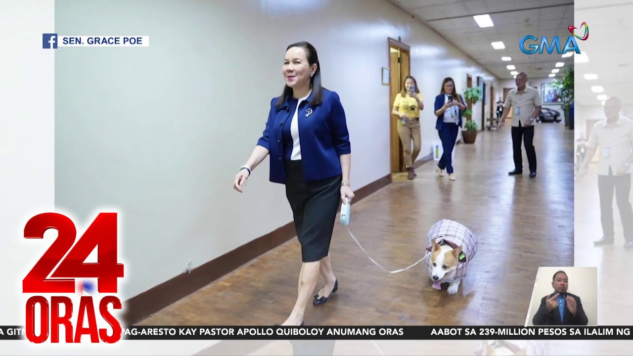 Sen. Grace Poe, iminungkahi ang mas mahigpit na batas para sa mga hayop | 24 Oras