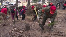 [울산] 울산시, 식목일 기념해 편백 나무 2천5백 그루 식재 / YTN