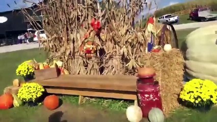 Positive PR Vlogtober 2020 Part 6: Parties With The Roomies