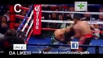 Abner Mares KO TECNICO A a Daniel Ponce De León 452013