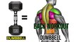 Back and Bicep Workout With Dumbbells