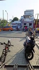 Bike Trip 2