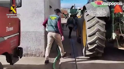 Detenidas seis personas por robar más de 15 toneladas de aceituna en Madrid
