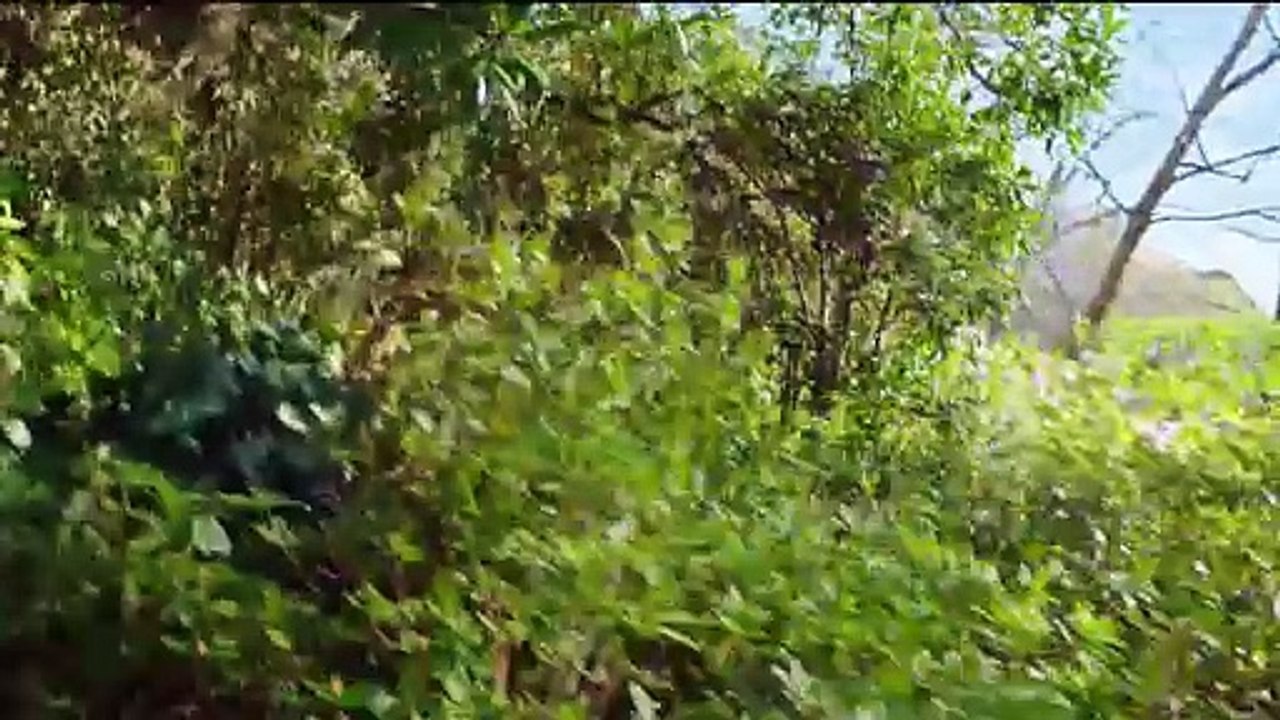 Harold und die Zauberkreide Trailer (2) OV