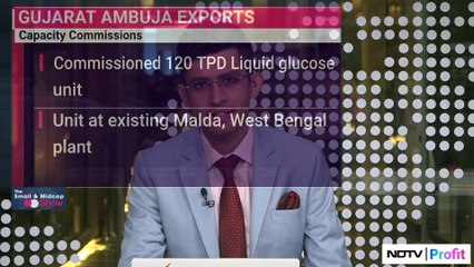 CMD Of Gujarat Ambuja Exports Limited Reveals Growth Outlook For FY25 | NDTV Profit