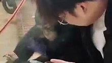 男孩和猩猩一起看手機，猩猩獻上飛吻表示感謝。Man showed the chimpanzee his phone, chimpanzee blew a kiss. #funny #kiss #reels
