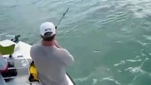 Tiburones se comen las Pesca de hombres