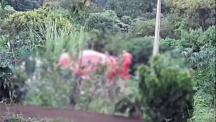 Funcionário de pedreira é flagrado lavando resíduos de caminhão betoneira em área de mata