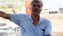 Los Caballeros Templarios en Michoacán Testimonio de Autodefensa Ciudadana Entrevista Parte 2
