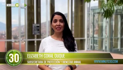 956 perros y gatos han sido rescatados en lo que va del año en Medellín