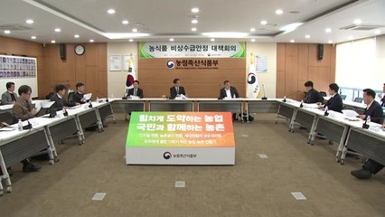 바나나·오렌지 1,800톤 집중 공급...할인상품권 600억 원 규모 발행 / YTN