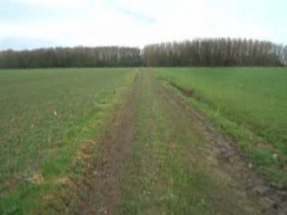 V4