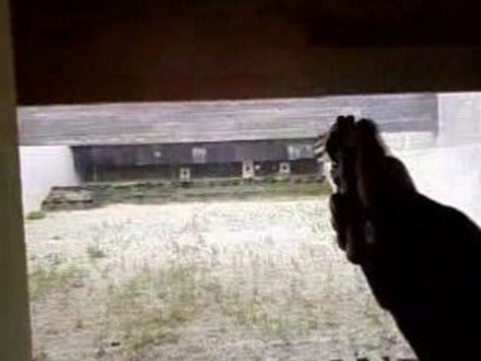 Ruger GP100 357mag