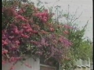 Antsan'i finoana ilay teny tonga nofo