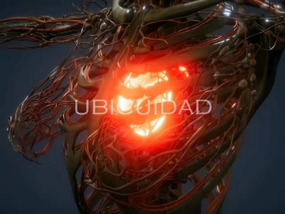 UBICUIDAD
