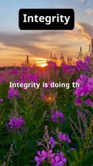 Useful sayings for everyone13