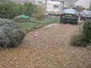 Il Neige au mois d'Avril xD