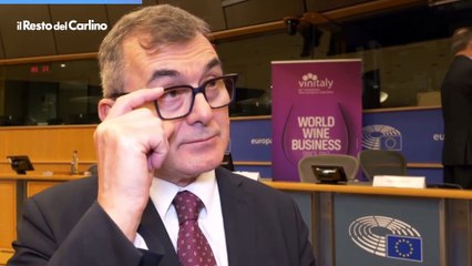 Vinitaly 2024, presentazione al parlamento europeo: intervista con Maurizio Danese