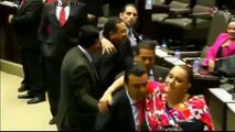 Diputados del PRI el PAN y el Partido Verde protagonizaron un zafarrancho en el salón de plenos de la Cámara de Diputados