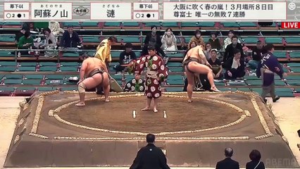 Haru 2024, Makushita - Day 8