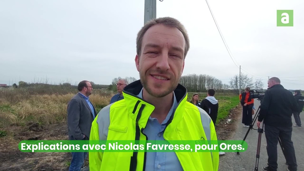 Celles : Ores installe un nid pour les cigognes sur un poteau électrique.