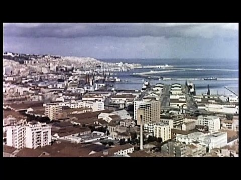 Bataille d'Alger