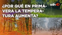 ¿Por qué solo hay 4 estaciones del año y no 80? | Explainer