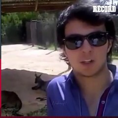 Usuarios reviven ESTILO 'MIRREY' de CHECO PÉREZ cuando debutó en el GP de Australia