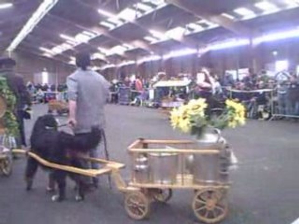PICT0006_002