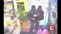 Valiente perro chihuahua ahuyenta ladrones de una tienda