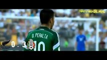 Nueva Zelanda vs Mexico 24 Todos los Goles y Resumen  Repechaje Rumbo a Brasil 2014
