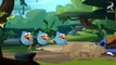 Angry Birds Toons  Catch Of The Day Full Episode 28