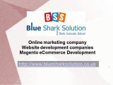 Magento ecommerce Development Company to enhance on the internet business