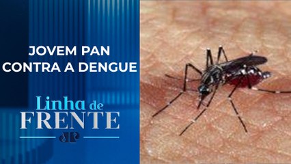Inseticida natural contra dengue tem vinagre, água e detergente | LINHA DE FRENTE