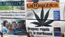 Uruguay el primer país en legalizar la marihuana