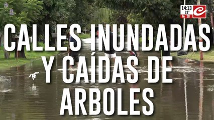 Temporal en AMBA: ¿Cuándo finalizan las lluvias?