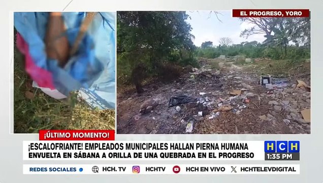 ¡Dantesco! Hallan una extremidad humana a orilla de una quebrada de El Progreso