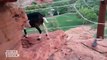 El impresionante descenso de una cabra