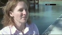 Dozens of Whales Stranded Off Southwest Florida