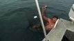 Una jaula le salva de ser devorado por un tiburón en Australia